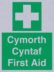 FE12896: Cymorth Cyntaf First Aid in Welsh