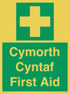 FE12896: Cymorth Cyntaf First Aid in Welsh