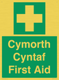 FE12896: Cymorth Cyntaf First Aid in Welsh