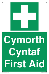 FE12896: Cymorth Cyntaf First Aid in Welsh