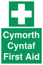 FE12896: Cymorth Cyntaf First Aid in Welsh