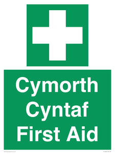 FE12896: Cymorth Cyntaf First Aid in Welsh