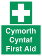 FE12896: Cymorth Cyntaf First Aid in Welsh
