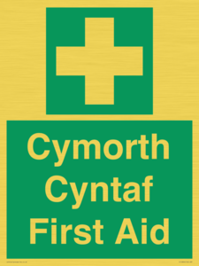 FE12896: Cymorth Cyntaf First Aid in Welsh