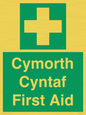 FE12896: Cymorth Cyntaf First Aid in Welsh