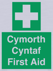 FE12896: Cymorth Cyntaf First Aid in Welsh
