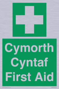 FE12896: Cymorth Cyntaf First Aid in Welsh