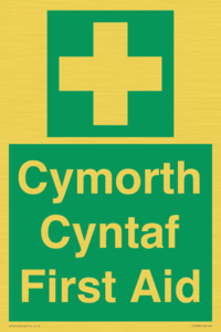 FE12896: Cymorth Cyntaf First Aid in Welsh