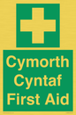 FE12896: Cymorth Cyntaf First Aid in Welsh