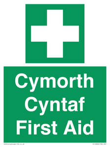 FE12896: Cymorth Cyntaf First Aid in Welsh