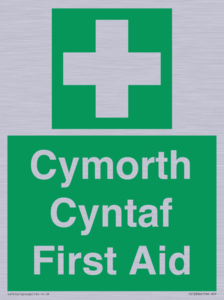 FE12896: Cymorth Cyntaf First Aid in Welsh