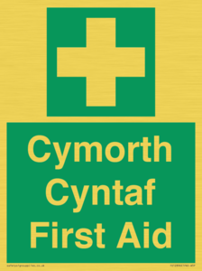 FE12896: Cymorth Cyntaf First Aid in Welsh