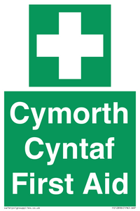 FE12896: Cymorth Cyntaf First Aid in Welsh