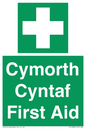 FE12896: Cymorth Cyntaf First Aid in Welsh