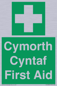 FE12896: Cymorth Cyntaf First Aid in Welsh