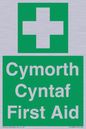 FE12896: Cymorth Cyntaf First Aid in Welsh
