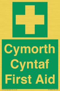 FE12896: Cymorth Cyntaf First Aid in Welsh