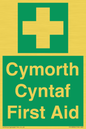 FE12896: Cymorth Cyntaf First Aid in Welsh