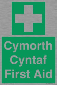 FE12896: Cymorth Cyntaf First Aid in Welsh