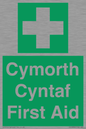 FE12896: Cymorth Cyntaf First Aid in Welsh