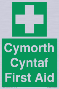 FE12896: Cymorth Cyntaf First Aid in Welsh