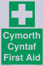 FE12896: Cymorth Cyntaf First Aid in Welsh