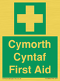 FE12896: Cymorth Cyntaf First Aid in Welsh