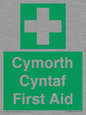 FE12896: Cymorth Cyntaf First Aid in Welsh