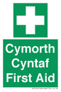 FE12896: Cymorth Cyntaf First Aid in Welsh