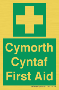 FE12896: Cymorth Cyntaf First Aid in Welsh