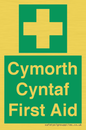 FE12896: Cymorth Cyntaf First Aid in Welsh