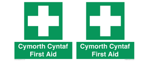 FE12896: Cymorth Cyntaf First Aid in Welsh
