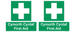FE12896: Cymorth Cyntaf First Aid in Welsh