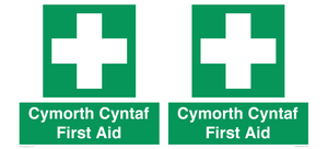 FE12896: Cymorth Cyntaf First Aid in Welsh