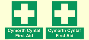 FE12896: Cymorth Cyntaf First Aid in Welsh