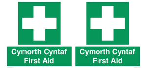 FE12896: Cymorth Cyntaf First Aid in Welsh