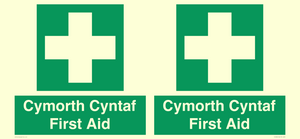 FE12896: Cymorth Cyntaf First Aid in Welsh