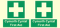 FE12896: Cymorth Cyntaf First Aid in Welsh