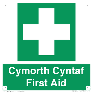 FE12896: Cymorth Cyntaf First Aid in Welsh