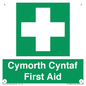 FE12896: Cymorth Cyntaf First Aid in Welsh