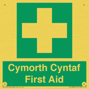 FE12896: Cymorth Cyntaf First Aid in Welsh