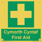 FE12896: Cymorth Cyntaf First Aid in Welsh