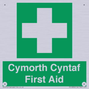 FE12896: Cymorth Cyntaf First Aid in Welsh