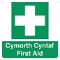 FE12896: Cymorth Cyntaf First Aid in Welsh