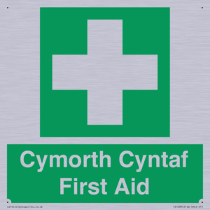 FE12896: Cymorth Cyntaf First Aid in Welsh
