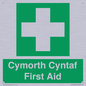FE12896: Cymorth Cyntaf First Aid in Welsh