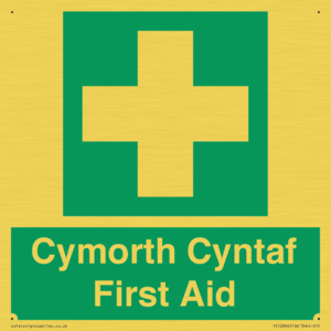 FE12896: Cymorth Cyntaf First Aid in Welsh