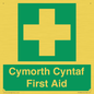 FE12896: Cymorth Cyntaf First Aid in Welsh