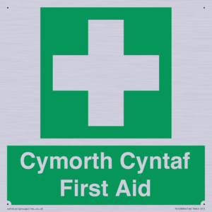 FE12896: Cymorth Cyntaf First Aid in Welsh