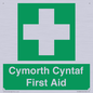 FE12896: Cymorth Cyntaf First Aid in Welsh